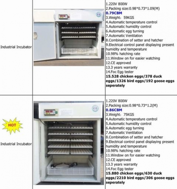 High quality egg incubators, automatic hatching - Poultry ...