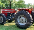 Tractor MF 385